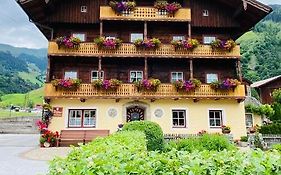 Wengerbauer
