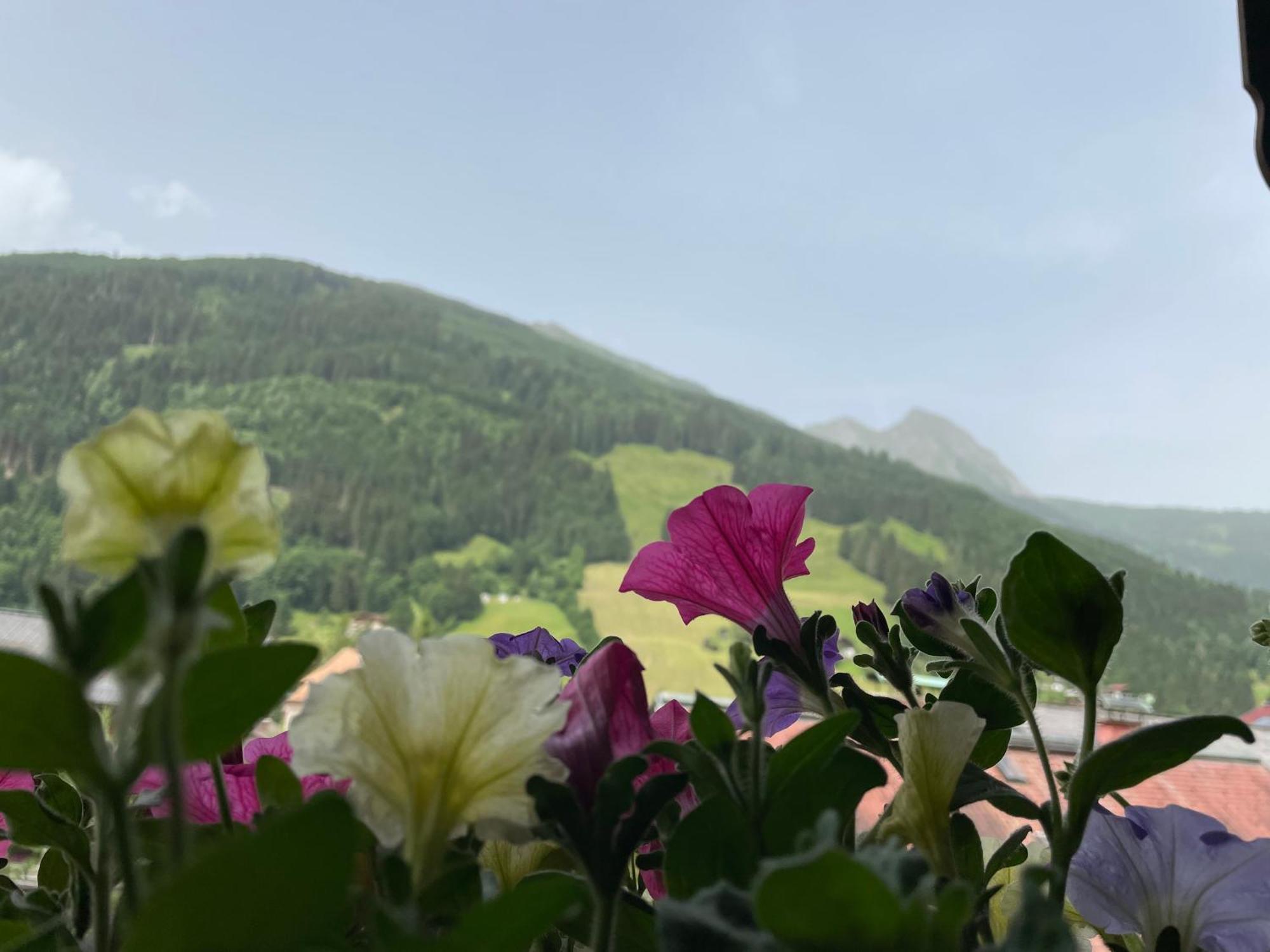 Vila Wengerbauer Dorfgastein Exteriér fotografie